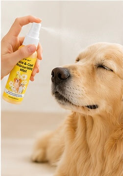 Skin & Coat Moisturizing Mist for Dogs & Cats